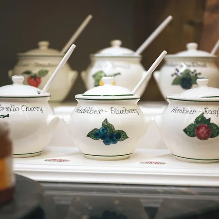 Alpenhotel Montafon & 4* Schruns